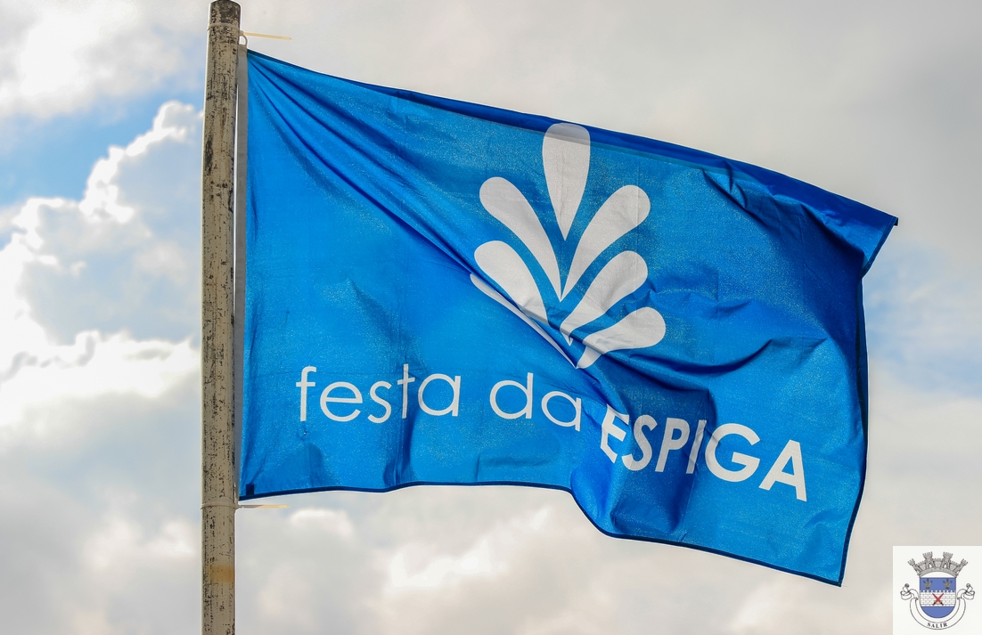 Festa da Espiga 2016